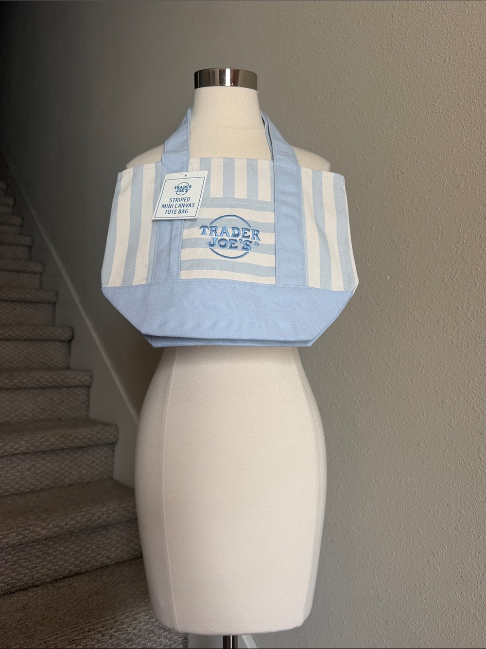 NWT Trader Joe's Striped Light Blue and White Mini Canvas Tote